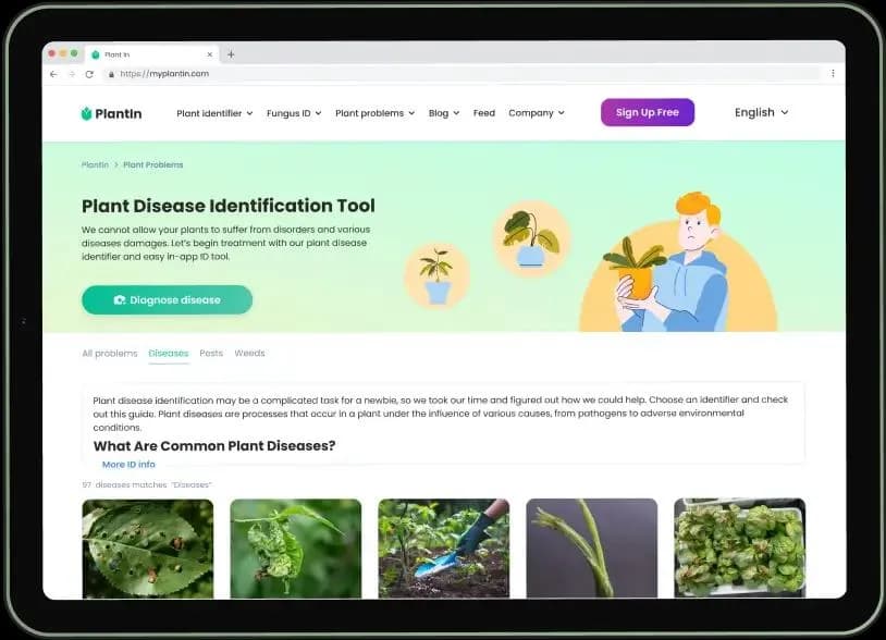 Czy aplikacja PlantIn jest darmowa? Poznaj funkcje i ograniczenia
